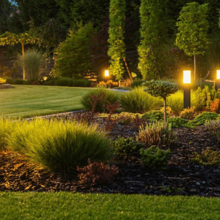 Backyard Lighting