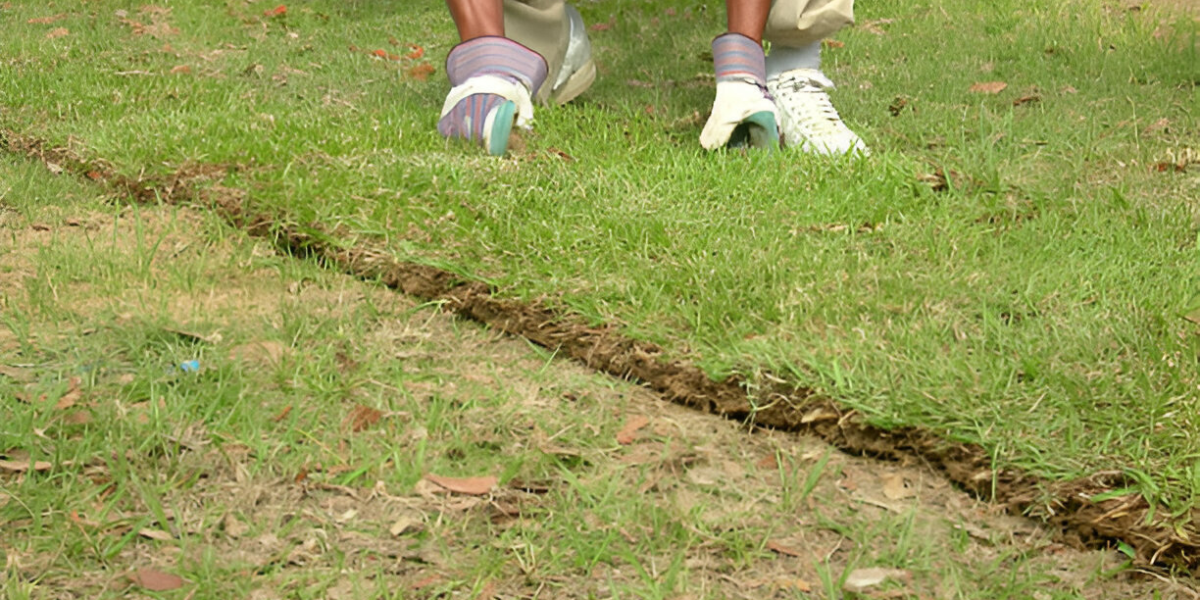 Lawn Sodding