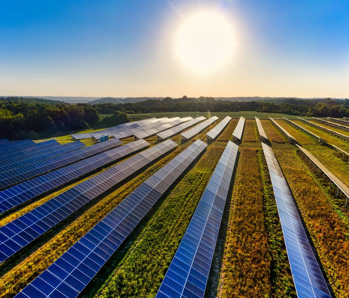 Solar Farm and Utility Area Undergrowth Management